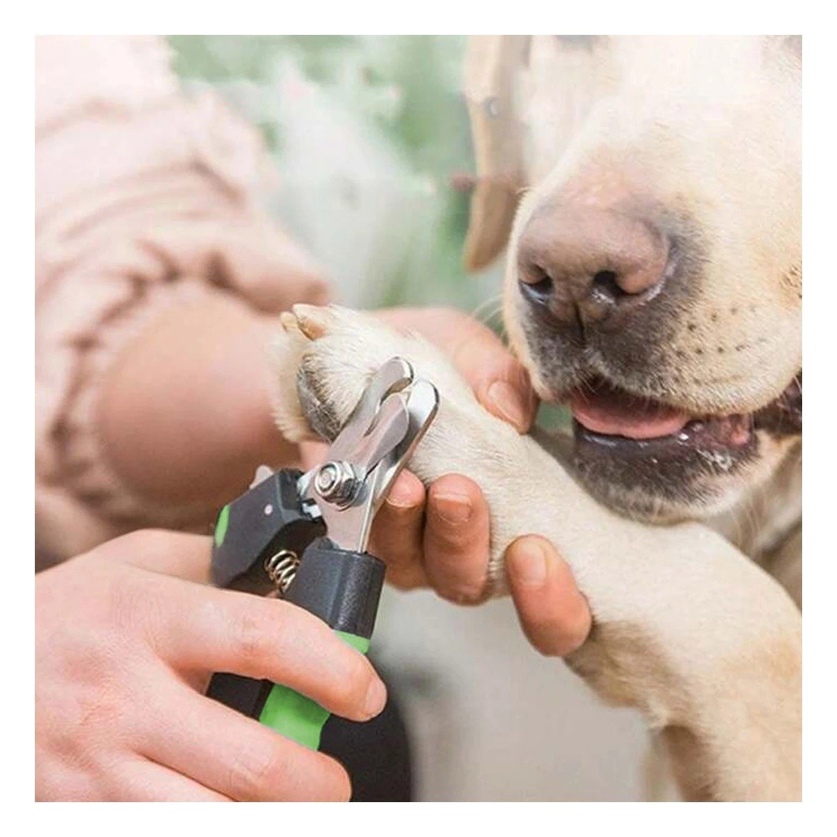 PACK4 HERRAMIENTA DE GROOMING CON ESTRUCTURA DE MUCHA FUERZA VERDE TALLA L - 5