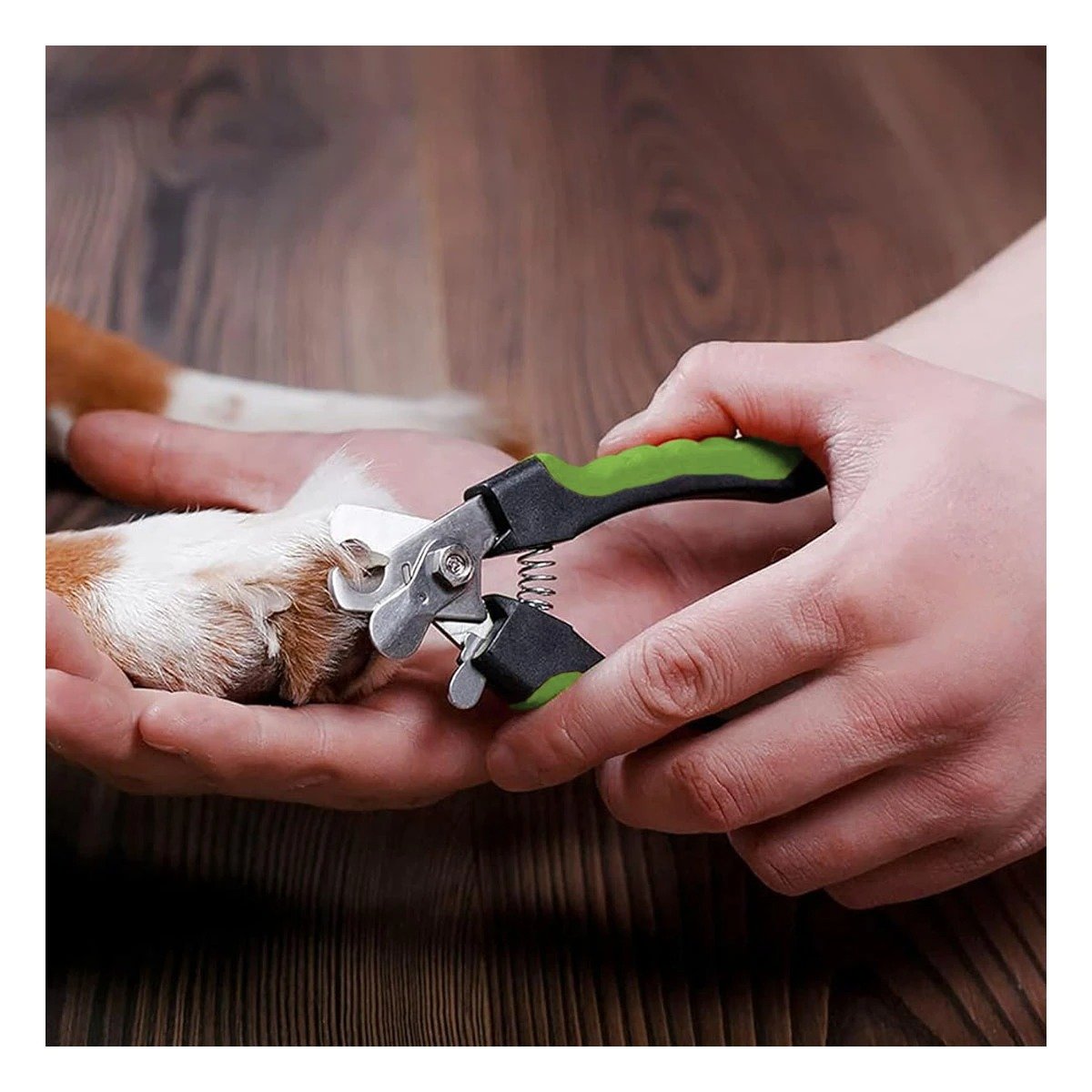 PACK2 ACCESORIO DE ASEO CON MANGO ERGONOMICO VERDE CON LIMA PARA USO - 2