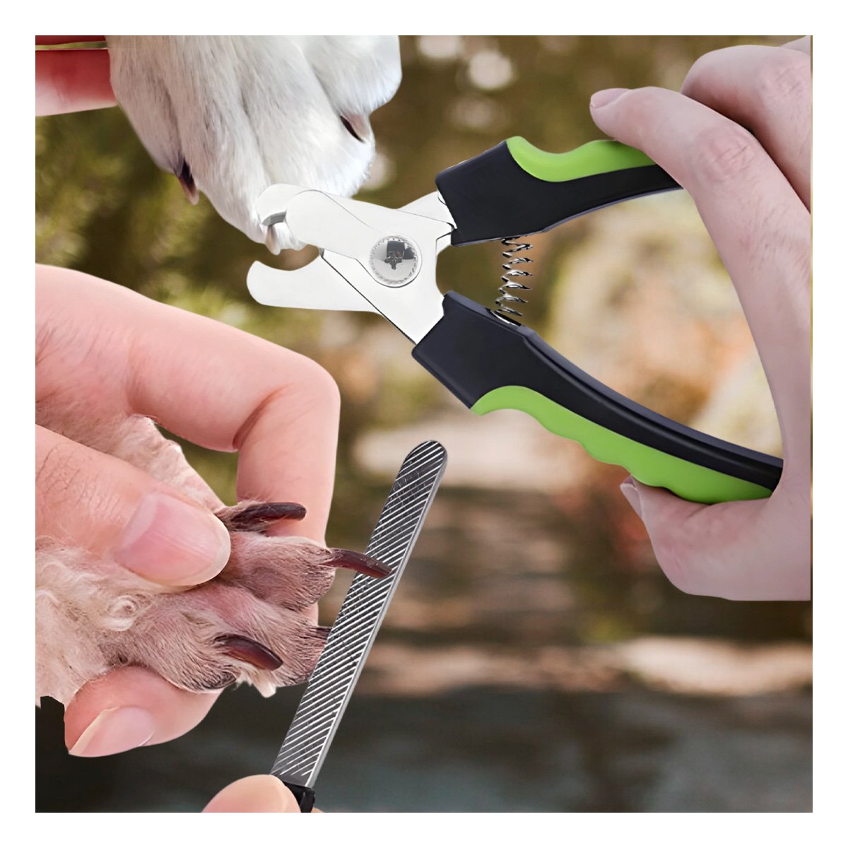 PACK2 ACCESORIO DE ASEO CON MANGO ERGONOMICO VERDE CON LIMA PARA USO - 5