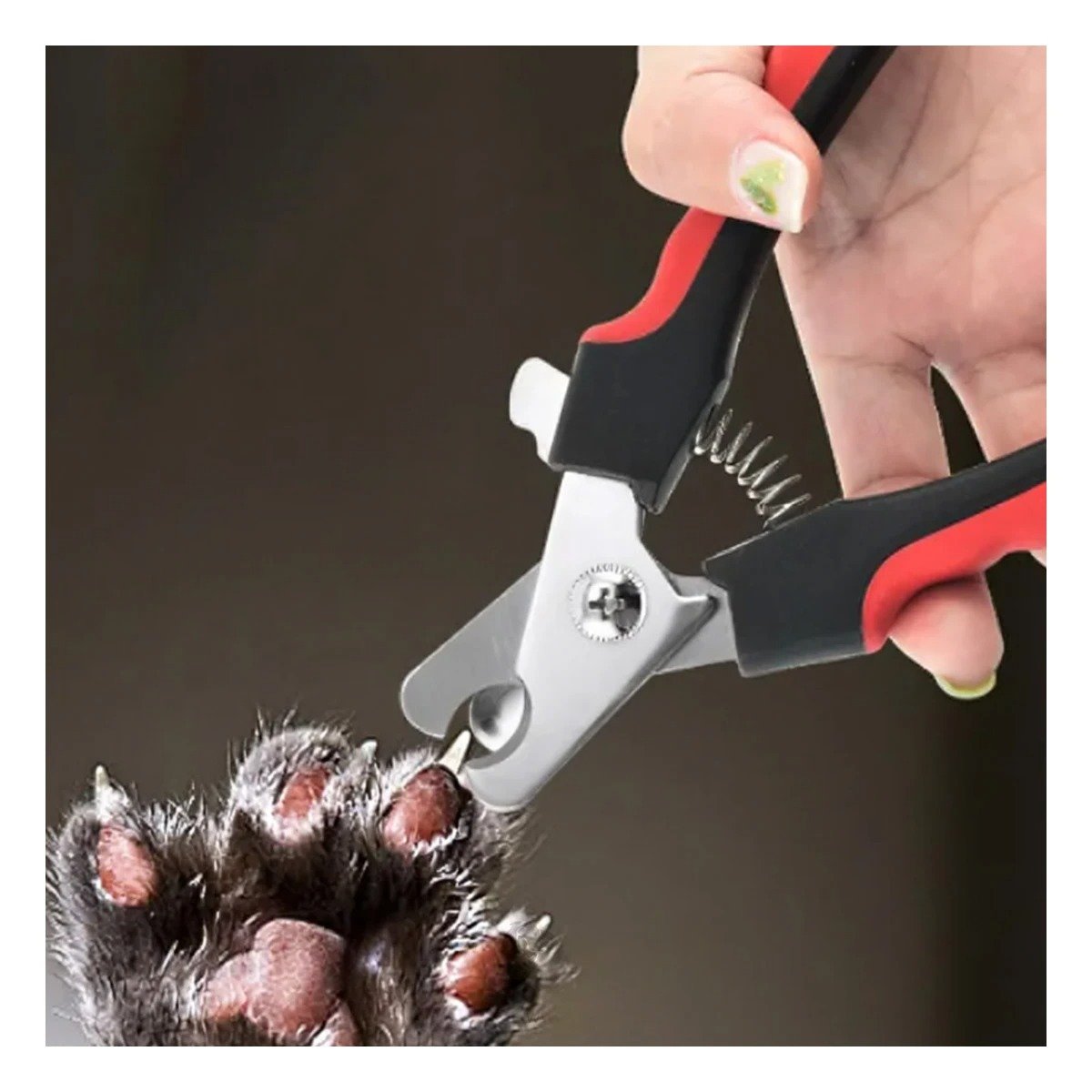 PACK12 SET DE PEDICURA PARA MASCOTAS DE FUNCION PRACTICA ROJO CHICO EN SU CASA Y+PAPEL REGALO - 3