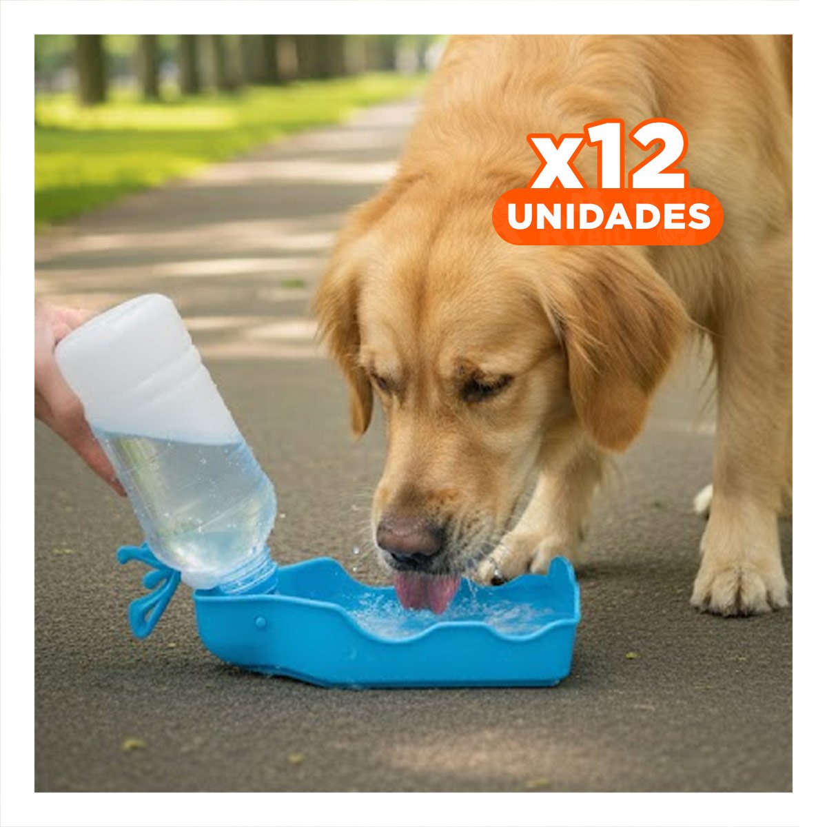 PACK12 DEPOSITO FUNCIONAL CELESTE PARA MASCOTA CON DISPENSADOR INTEGRADO - 1