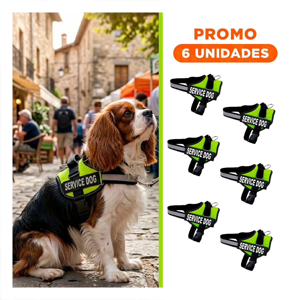 PACK6 CORREA AJUSTABLE SERVICE DOG TALLA S VERDE PASEO DIARIO - 1