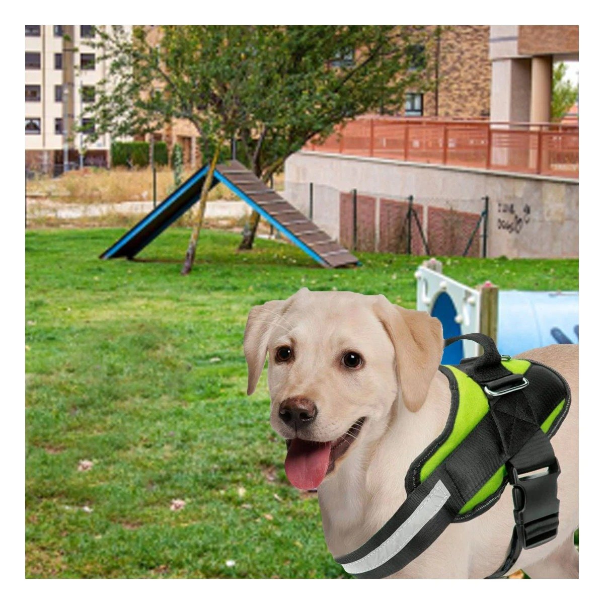 PACK6 CORREA AJUSTABLE SERVICE DOG TALLA S VERDE PASEO DIARIO - 3