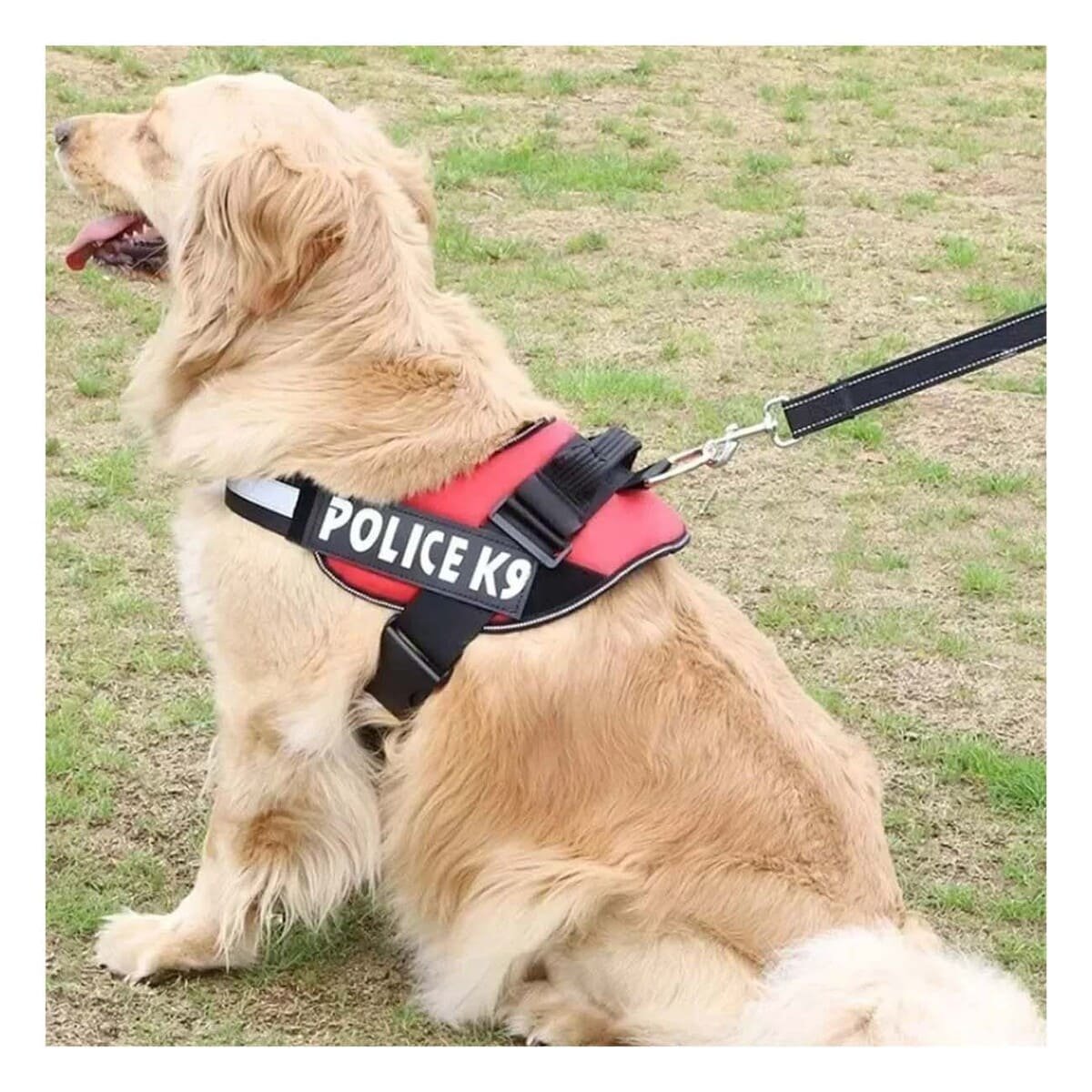 PACK4 CINTURON AJUSTABLE SERVICE DOG TALLA XXL ROJO PARA PASEO - 2