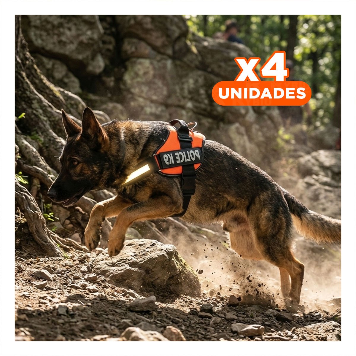 PACK4 ARNES COMODO SERVICE DOG TALLA XXL ANARANJADO PASEOS LARGOS - 1