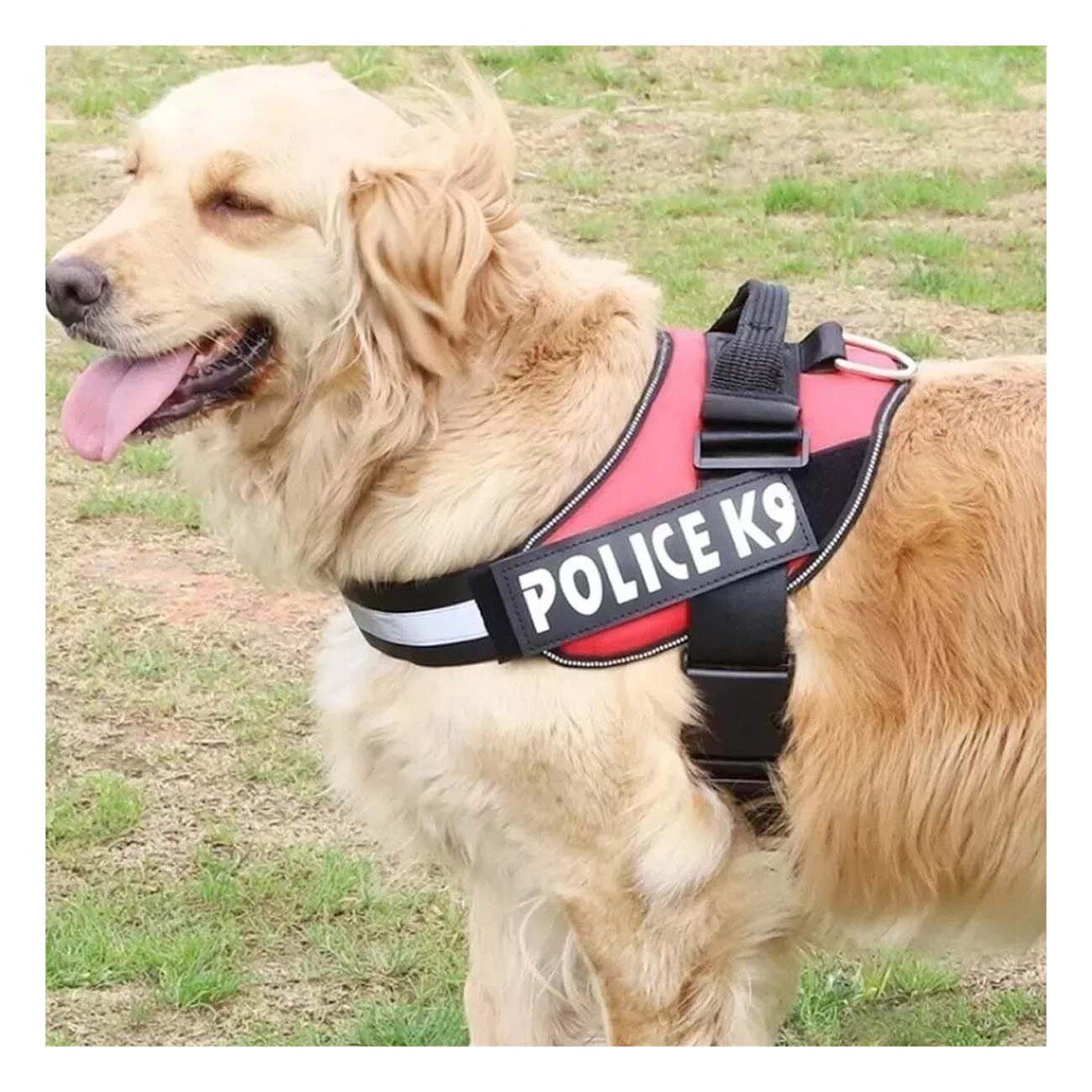 PACK4 CORREA DE TRABAJO SERVICE DOG TALLA XXL ROJO PARA PERRO FUERTE Y+PAPEL REGALO - 2