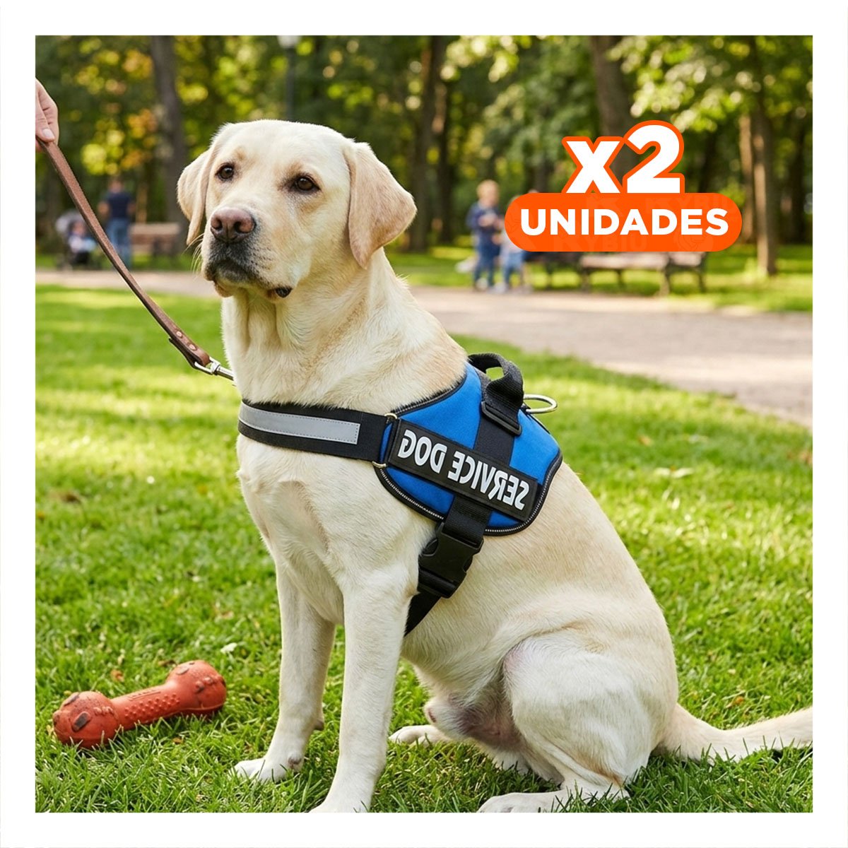 PACK2 PECHERA RESISTENTE SERVICE DOG TALLA XL AZUL ENTRENAMIENTO Y+REGALO STICKER - 1