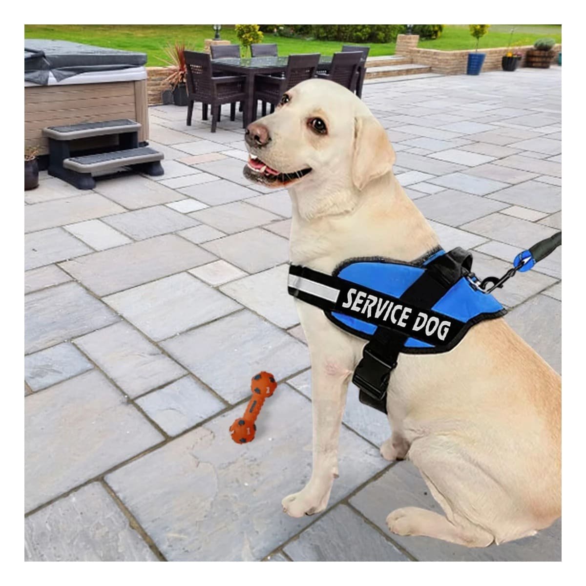 PACK2 PECHERA RESISTENTE SERVICE DOG TALLA XL AZUL ENTRENAMIENTO Y+REGALO STICKER - 3