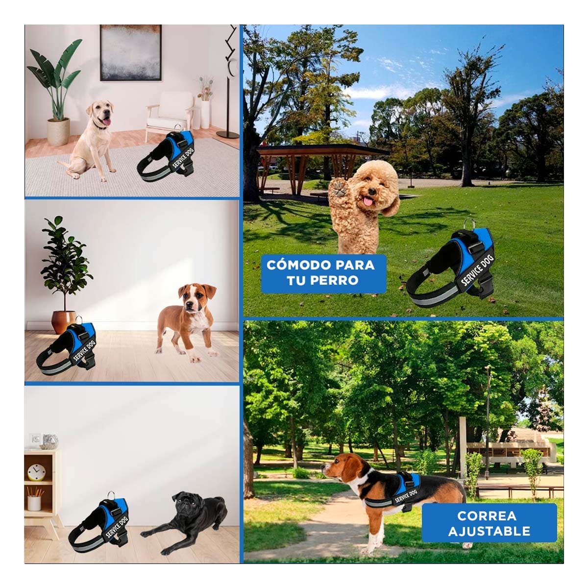 PACK2 CHALECO CANINO SERVICE DOG TALLA S AZUL PARA MASCOTA DE APOYO Y+PAPEL REGALO - 3