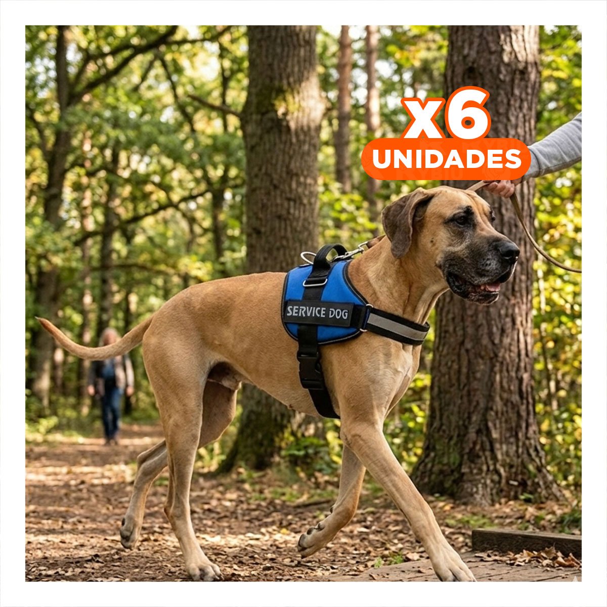 PACK6 CHALECO REFORZADO SERVICE DOG TALLA XXL AZUL TRABAJO DIARIO Y+REGALO STICKER - 1