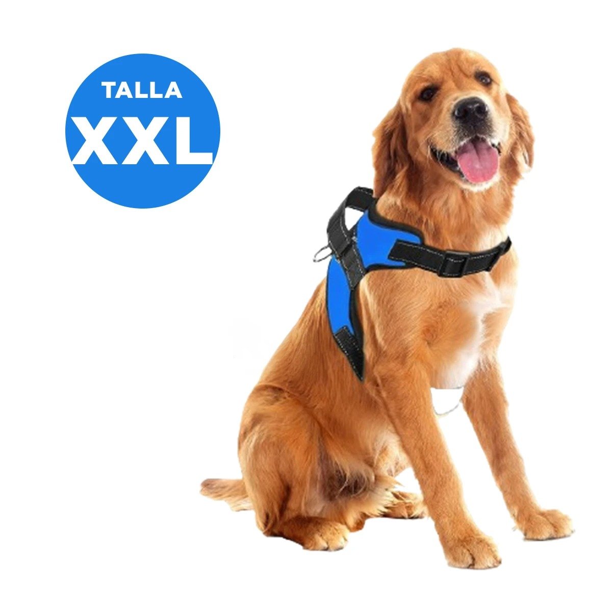 PACK6 CHALECO REFORZADO SERVICE DOG TALLA XXL AZUL TRABAJO DIARIO Y+REGALO STICKER - 4