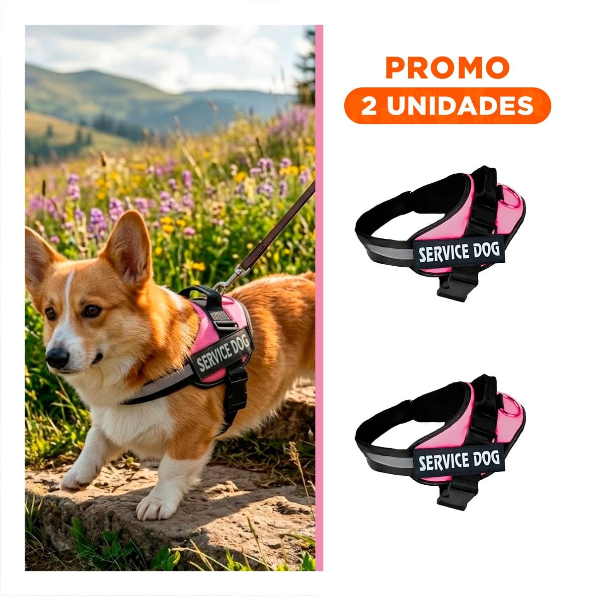 PACK2 ARNES REFORZADO SERVICE DOG TALLA S ROSADO USO CONSTANTE - 1