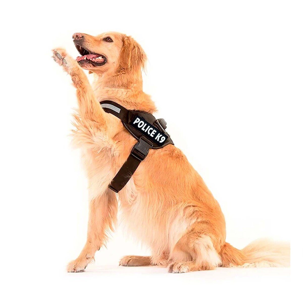 PACK4 EQUIPO AJUSTABLE SERVICE DOG TALLA XXL NEGRO MASCOTA ACTIVA Y+PAPEL REGALO - 3