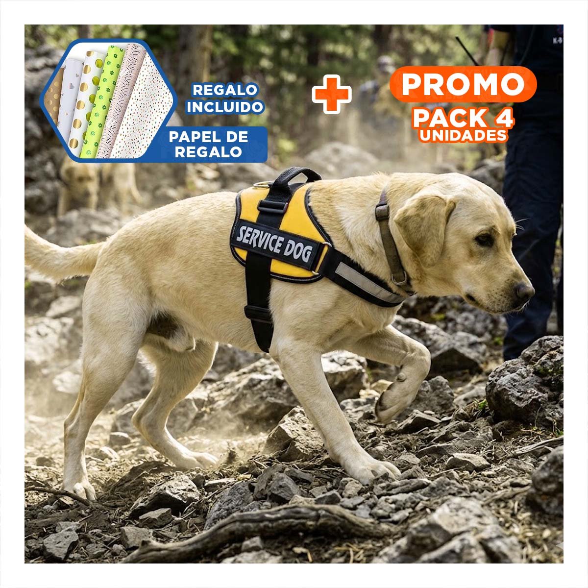 PACK4 EQUIPO AJUSTABLE SERVICE DOG TALLA XXL AMARILLO MASCOTA ACTIVA Y+PAPEL REGALO - 1