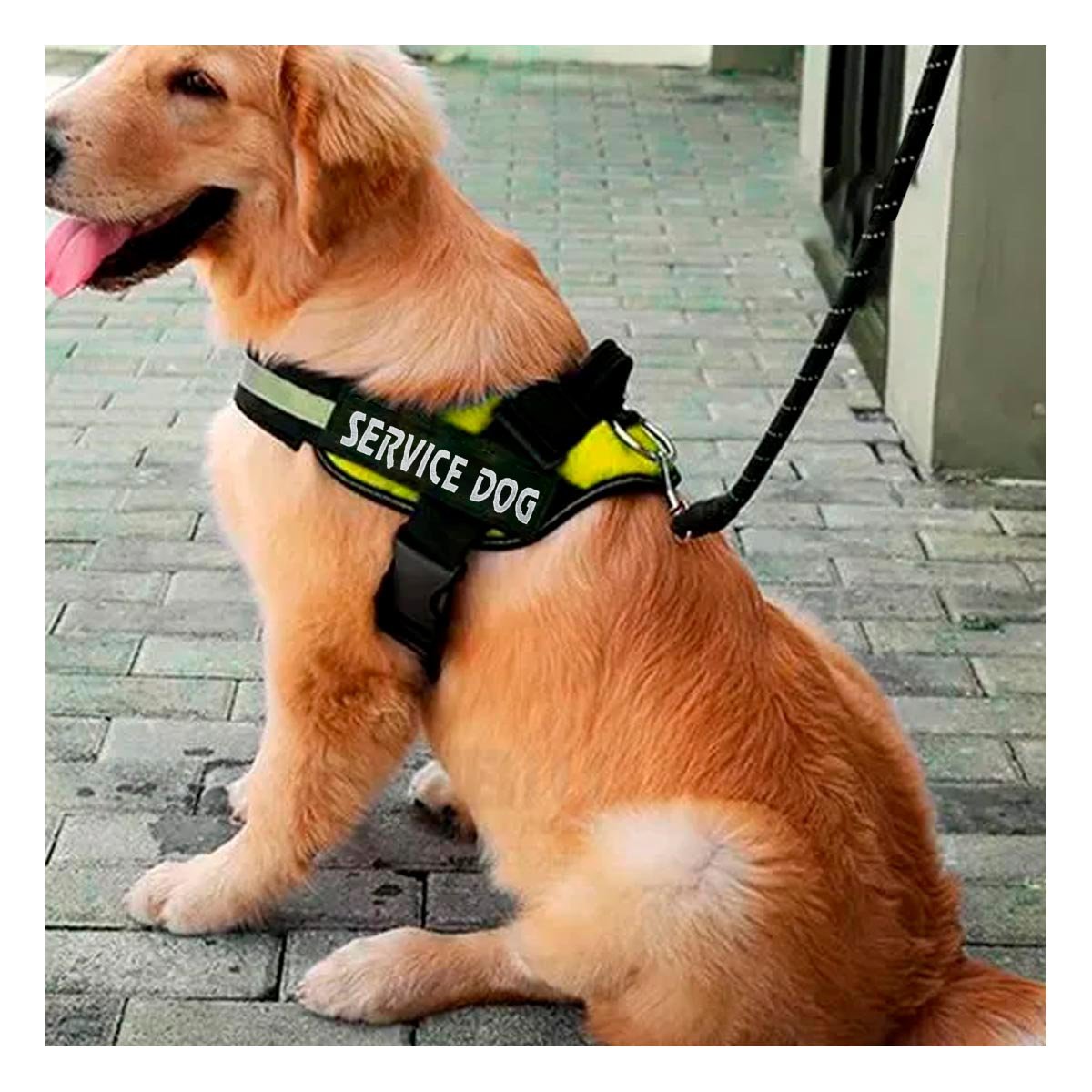 PACK4 EQUIPO AJUSTABLE SERVICE DOG TALLA XXL AMARILLO MASCOTA ACTIVA Y+PAPEL REGALO - 5