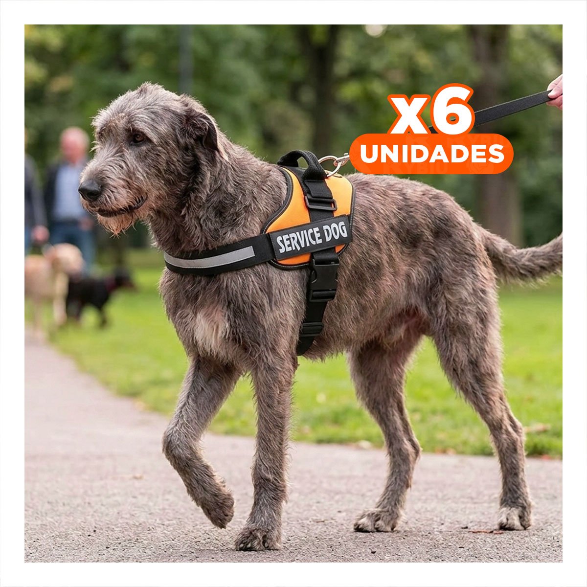 PACK6 CHALECO REFORZADO SERVICE DOG TALLA XXL ANARANJADO TRABAJO DIARIO Y+REGALO STICKER - 1