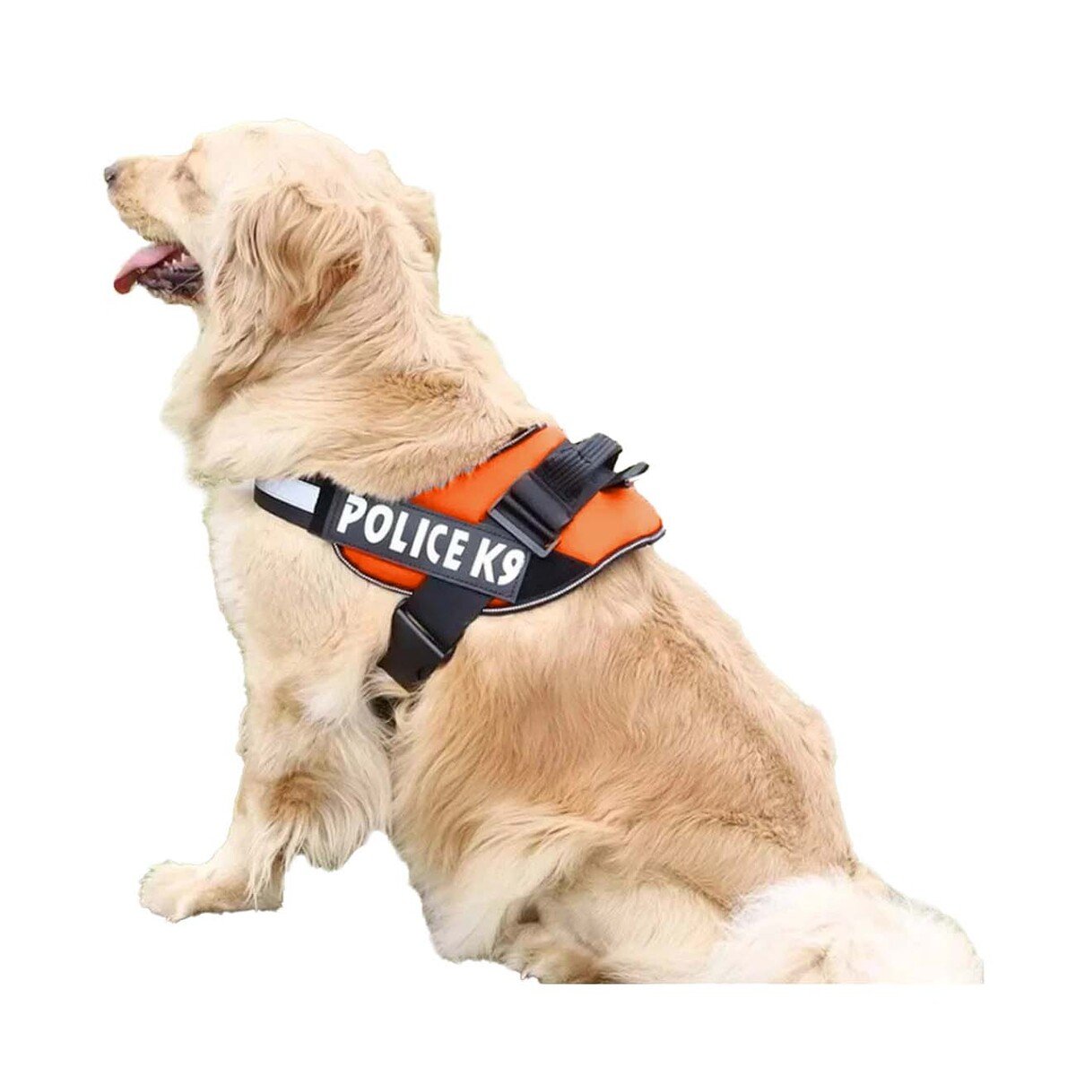 PACK6 CHALECO REFORZADO SERVICE DOG TALLA XXL ANARANJADO TRABAJO DIARIO Y+REGALO STICKER - 2