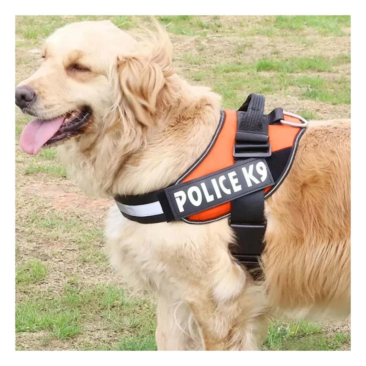 PACK6 CHALECO REFORZADO SERVICE DOG TALLA XXL ANARANJADO TRABAJO DIARIO Y+REGALO STICKER - 5