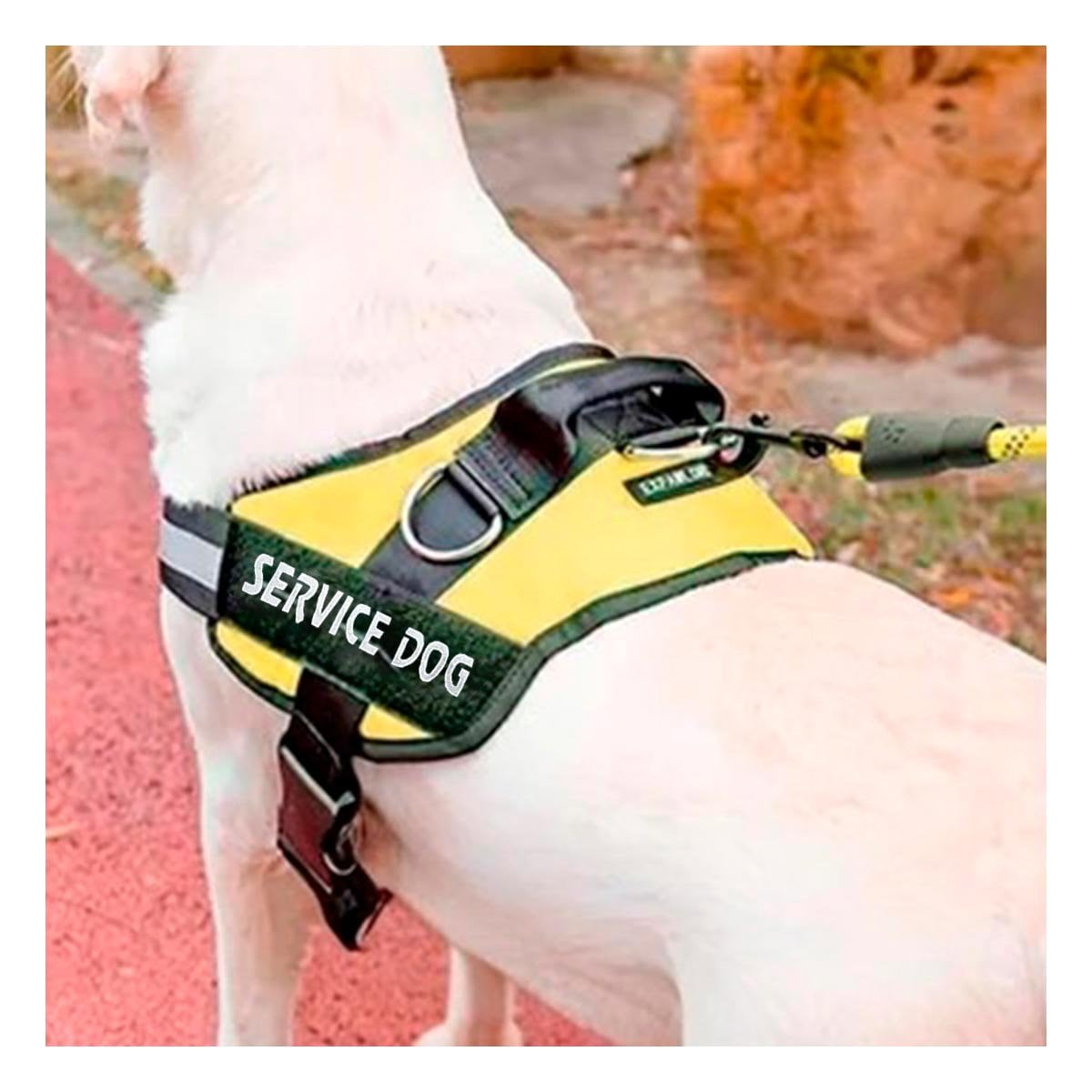 PACK2 ARNES REFORZADO SERVICE DOG TALLA XXL AMARILLO USO CONSTANTE - 2
