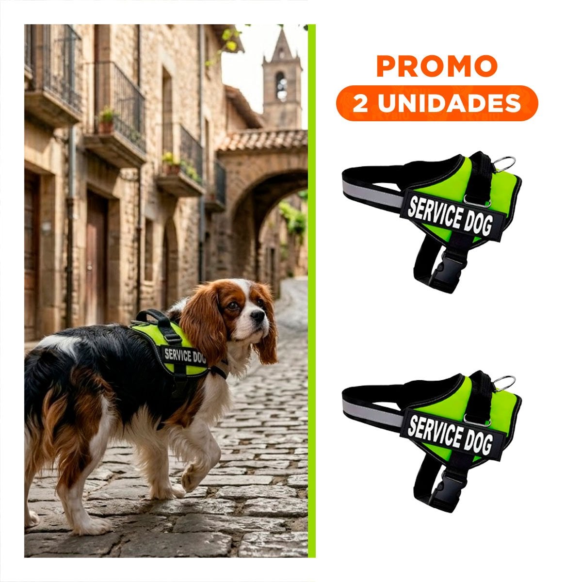 PACK2 ARNES REFORZADO SERVICE DOG TALLA S VERDE USO CONSTANTE - 1