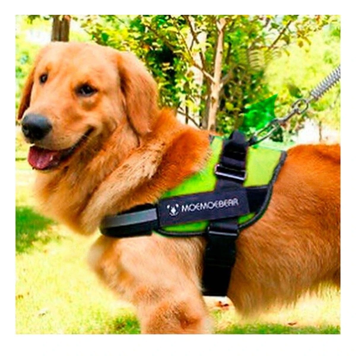 PACK2 ARNES REFORZADO SERVICE DOG TALLA S VERDE USO CONSTANTE - 5
