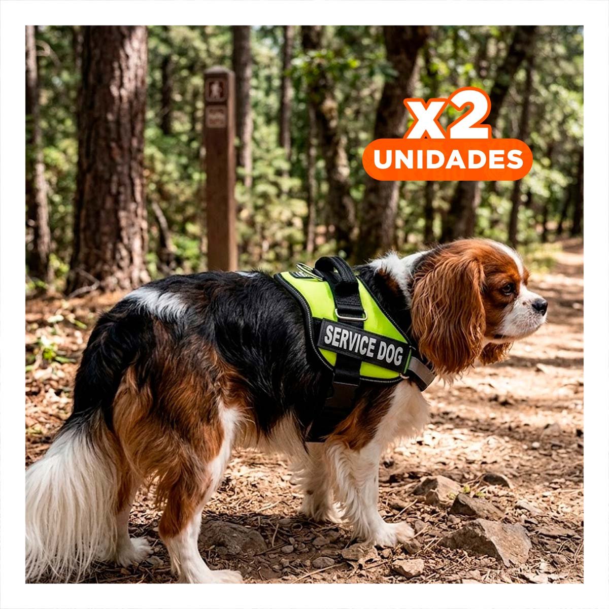 PACK2 PECHERA RESISTENTE SERVICE DOG TALLA S VERDE ENTRENAMIENTO Y+REGALO STICKER - 1