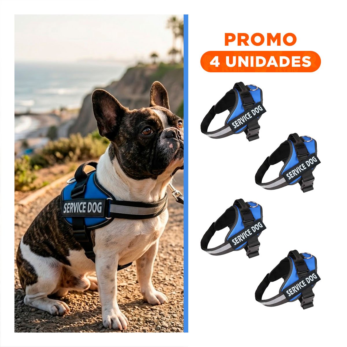 PACK4 CINTURON CANINO SERVICE DOG TALLA S AZUL CON SOPORTE SEGURO Y+REGALO STICKER - 1