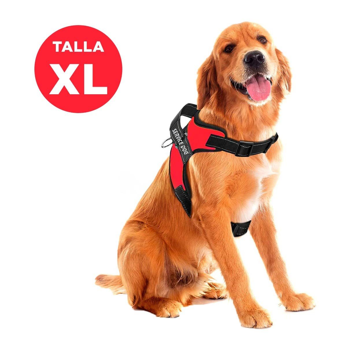 PACK6 ARNES SEGURO SERVICE DOG TALLA XL ROJO PERRO ENTRENADO - 4