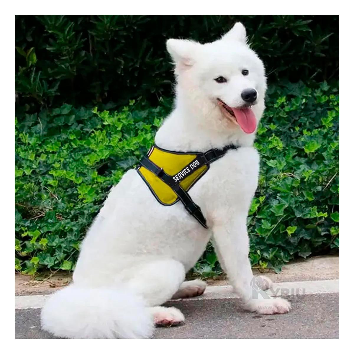 PACK6 ARNES DE PASEO SERVICE DOG TALLA XXL AMARILLO MASCOTA URBANA Y+PAPEL REGALO - 2