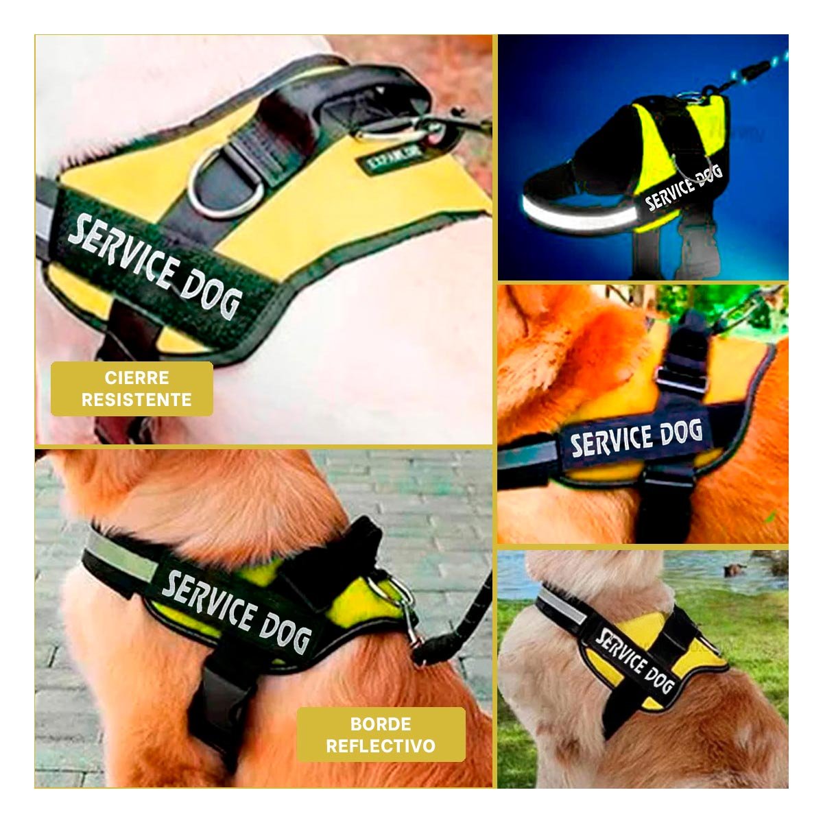 PACK6 ARNES DE PASEO SERVICE DOG TALLA XXL AMARILLO MASCOTA URBANA Y+PAPEL REGALO - 3
