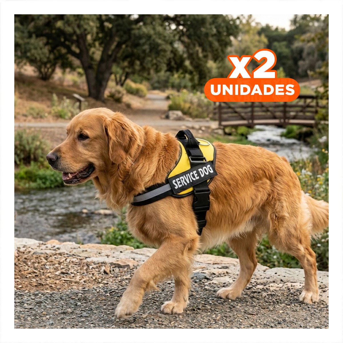 PACK2 PECHERA RESISTENTE SERVICE DOG TALLA XXL AMARILLO ENTRENAMIENTO Y+REGALO STICKER - 1