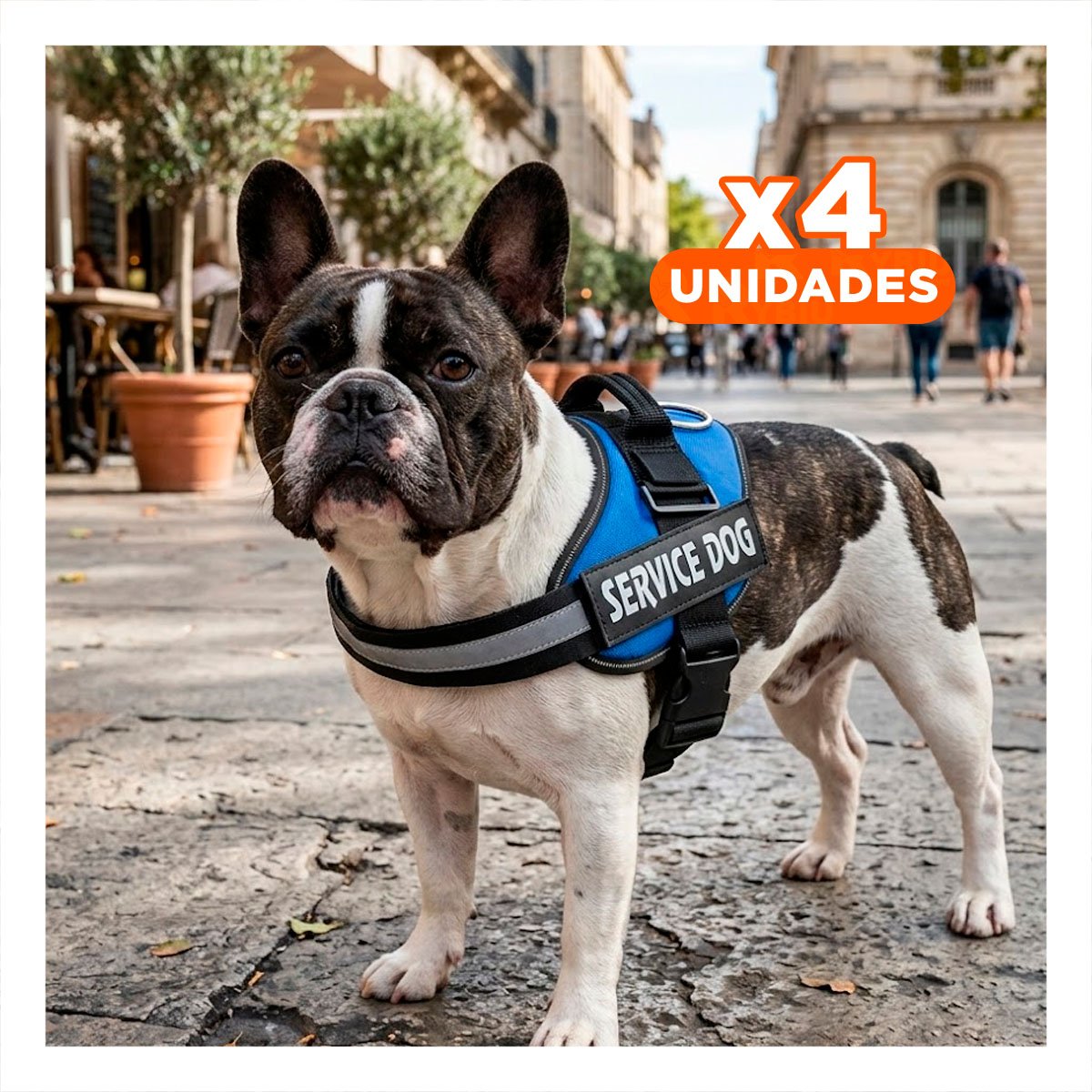 PACK4 ARNES COMODO SERVICE DOG TALLA S AZUL PARA PASEOS LARGOS - 1