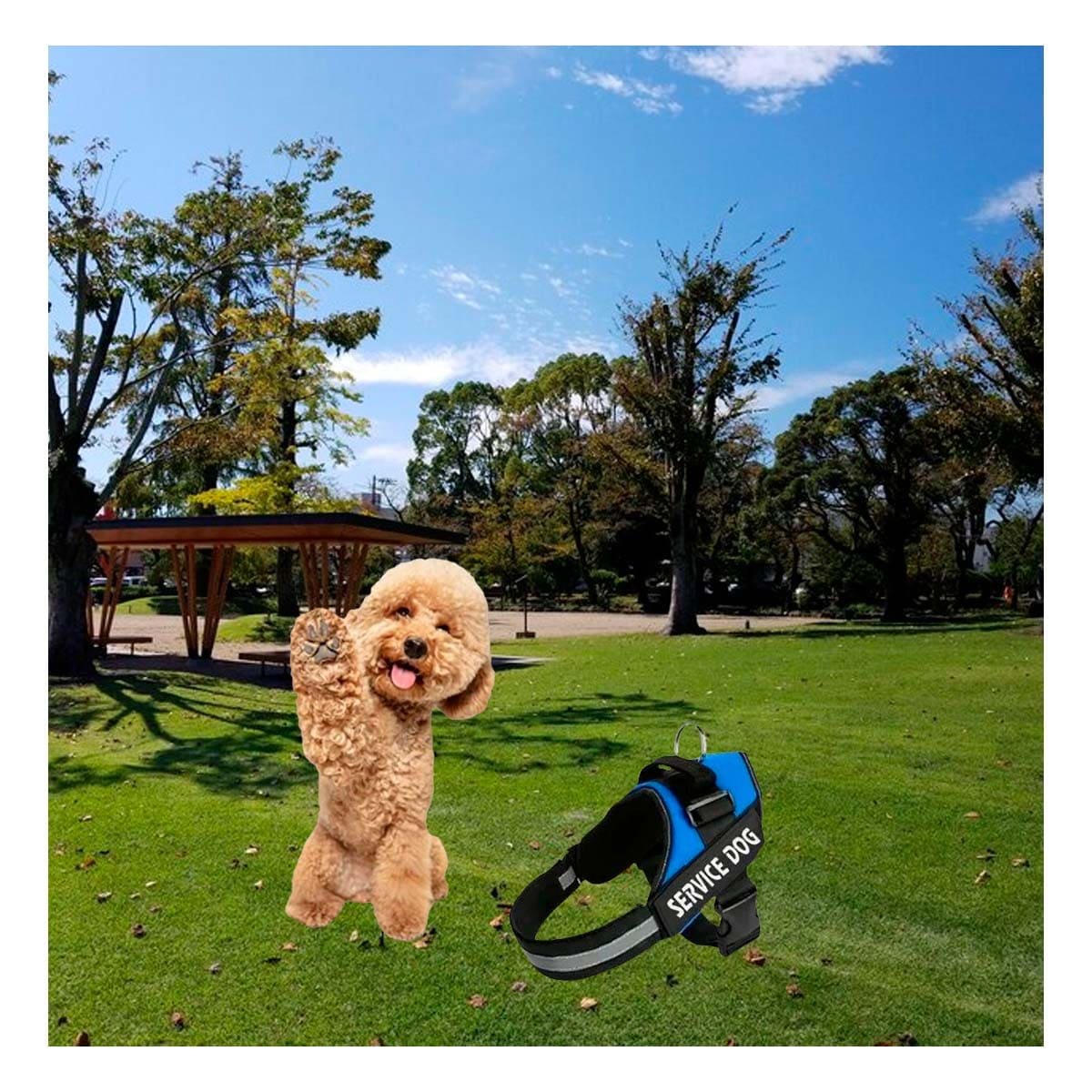 PACK4 ARNES COMODO SERVICE DOG TALLA S AZUL PARA PASEOS LARGOS - 2