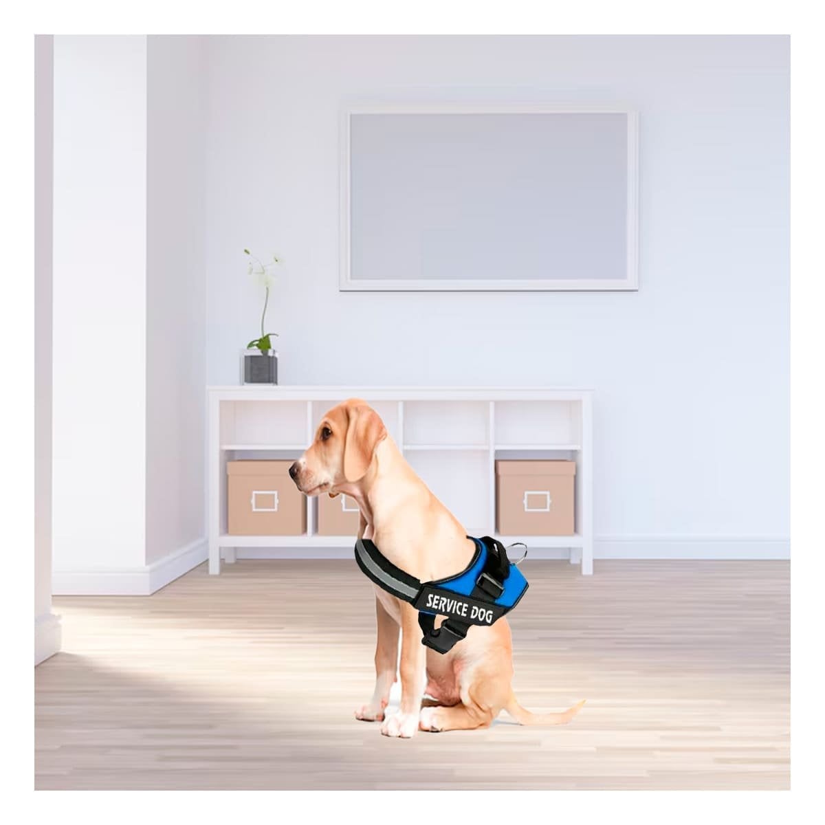PACK4 ARNES COMODO SERVICE DOG TALLA S AZUL PARA PASEOS LARGOS - 5