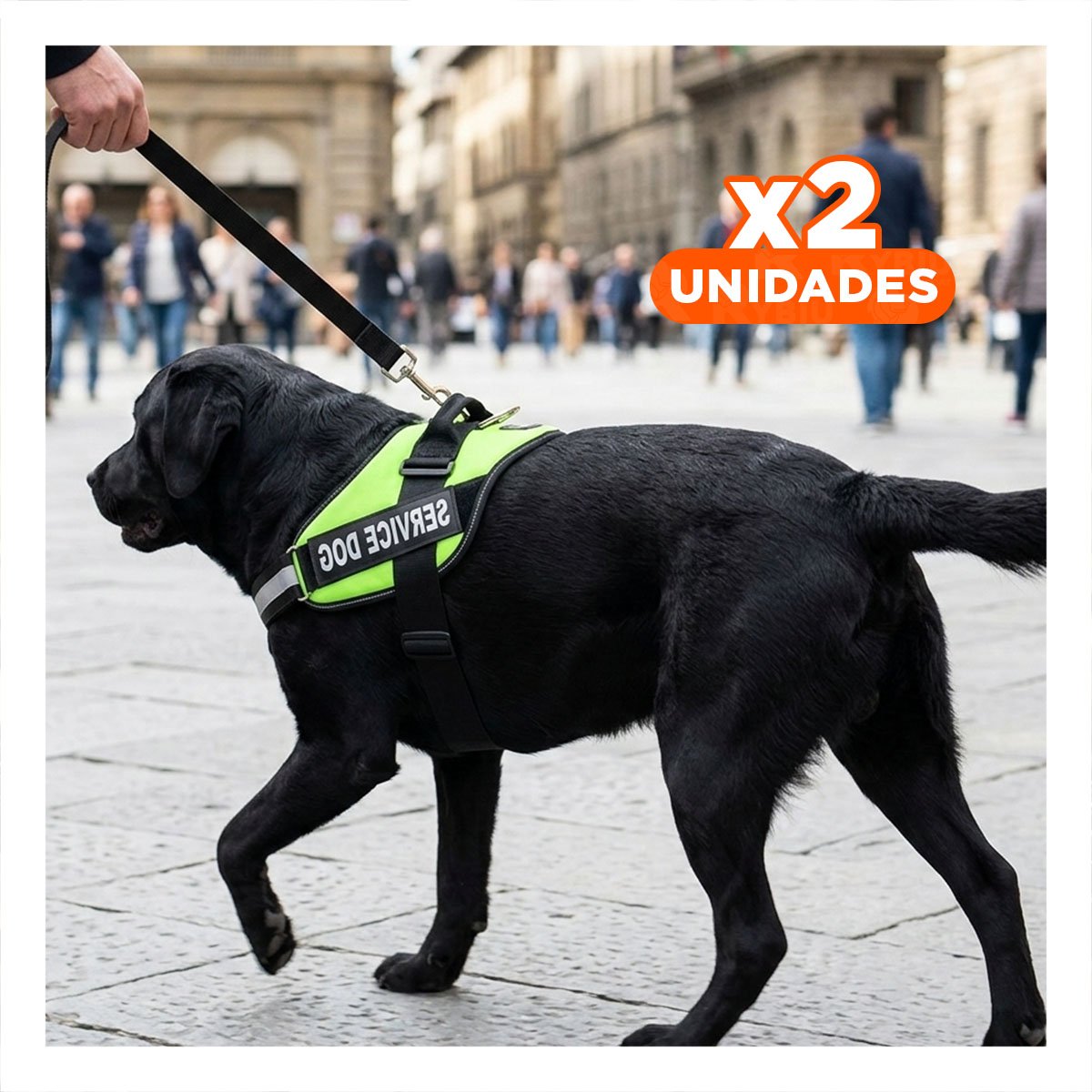 PACK2 PECHERA RESISTENTE SERVICE DOG TALLA XL VERDE ENTRENAMIENTO Y+REGALO STICKER - 1