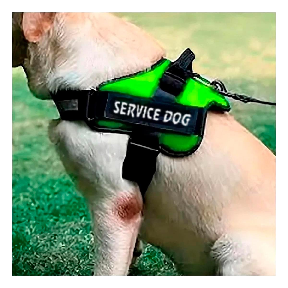 PACK2 PECHERA RESISTENTE SERVICE DOG TALLA XL VERDE ENTRENAMIENTO Y+REGALO STICKER - 5