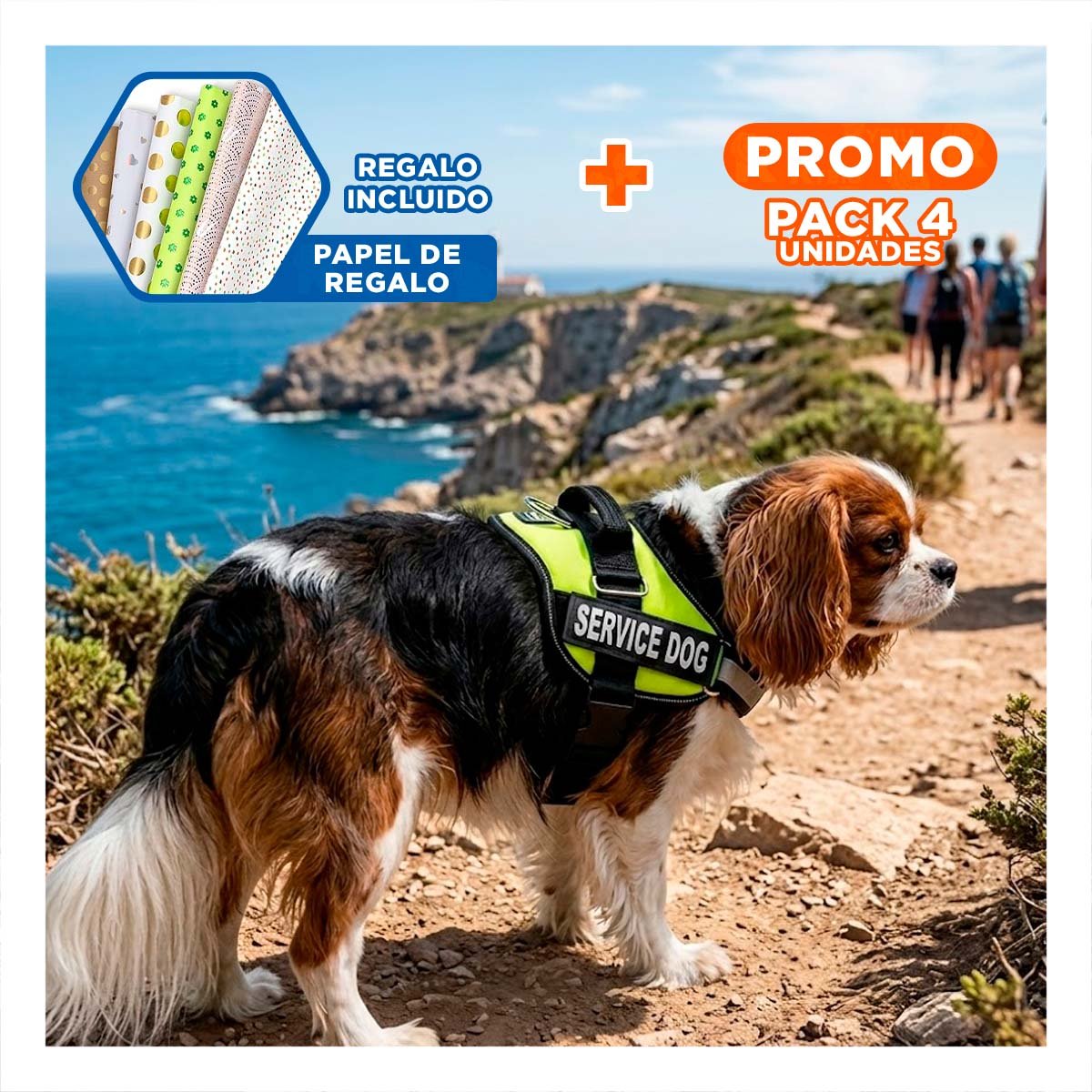 PACK4 EQUIPO AJUSTABLE SERVICE DOG TALLA S VERDE MASCOTA ACTIVA Y+PAPEL REGALO - 1