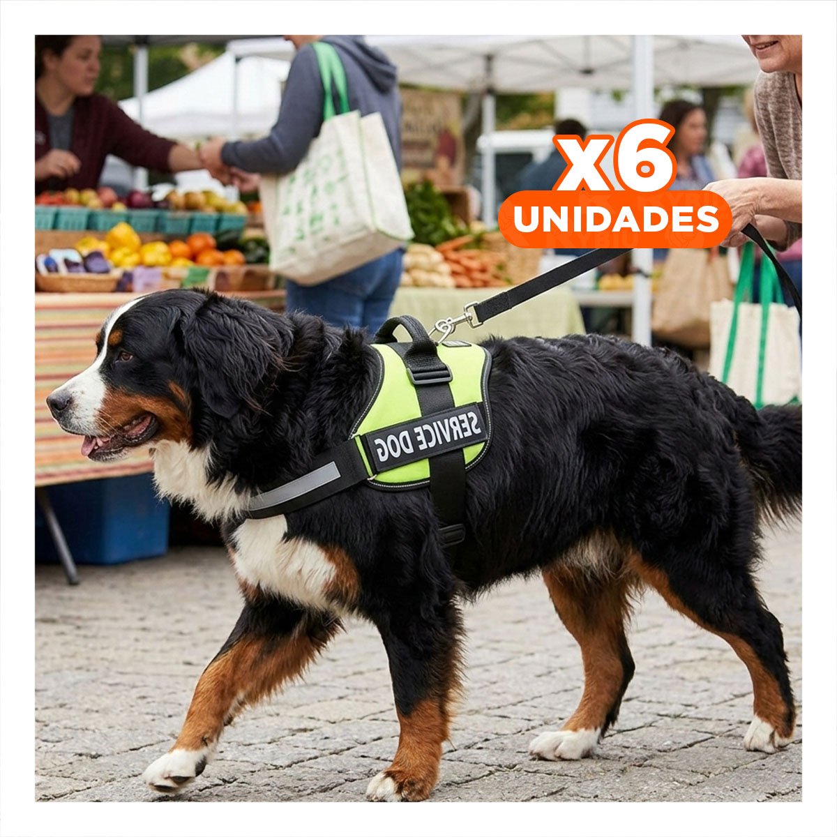 PACK6 CHALECO REFORZADO SERVICE DOG TALLA XL VERDE TRABAJO DIARIO Y+REGALO STICKER - 1