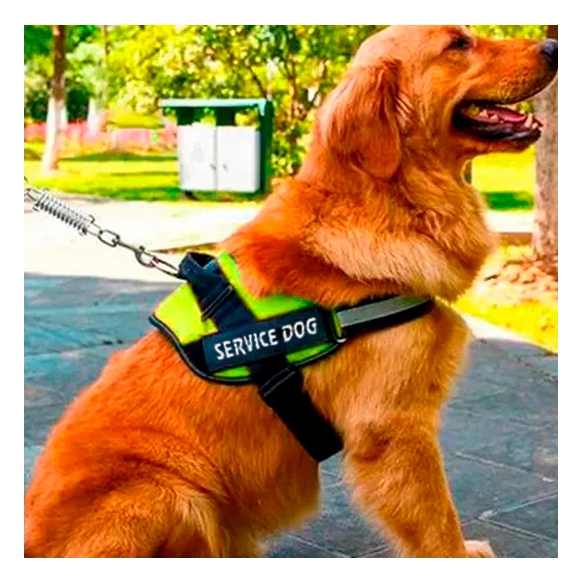 PACK6 CHALECO REFORZADO SERVICE DOG TALLA XL VERDE TRABAJO DIARIO Y+REGALO STICKER - 3
