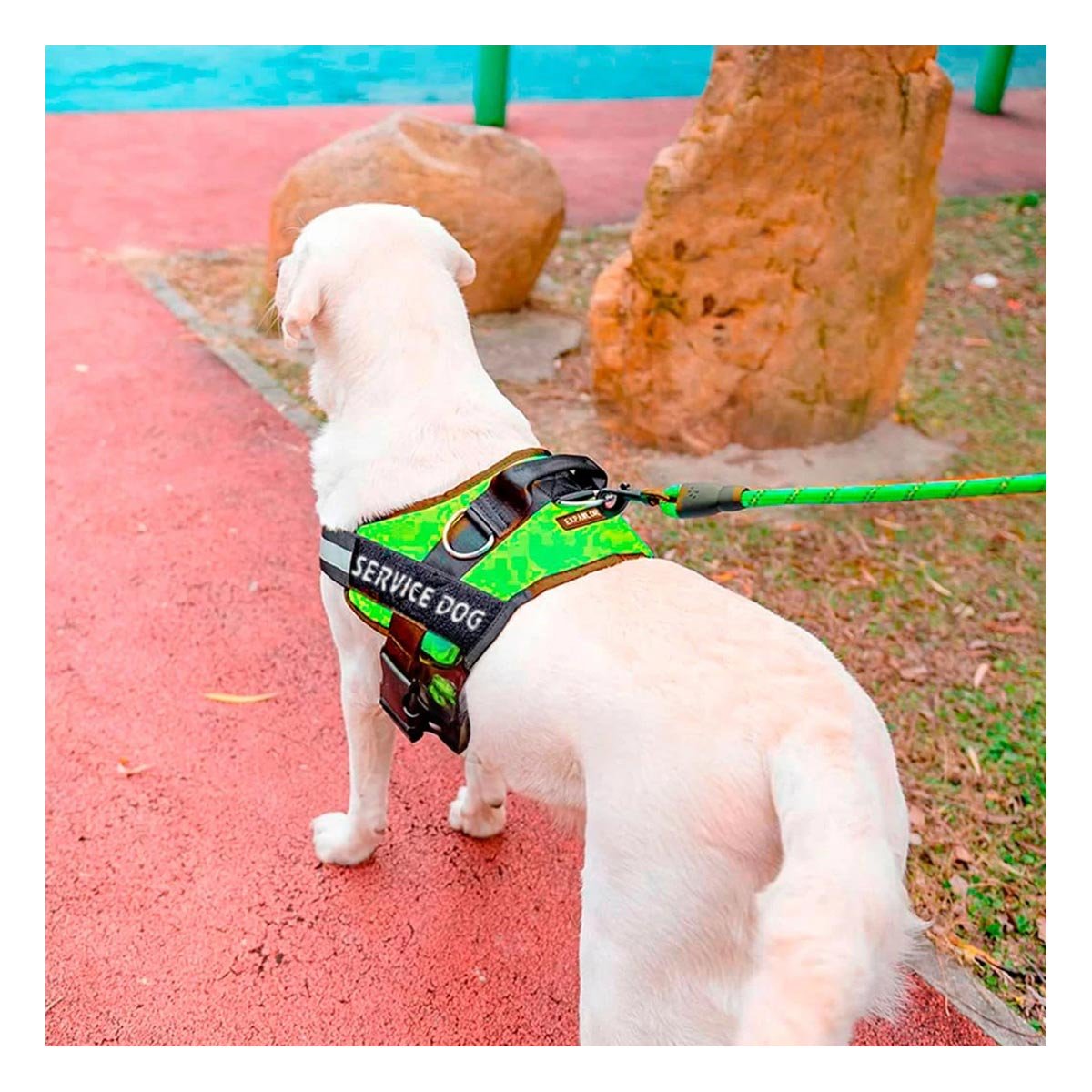 PACK6 CHALECO REFORZADO SERVICE DOG TALLA XL VERDE TRABAJO DIARIO Y+REGALO STICKER - 5