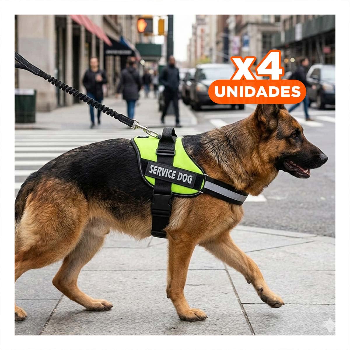 PACK4 ARNES COMODO SERVICE DOG TALLA XL VERDE PASEOS LARGOS - 1