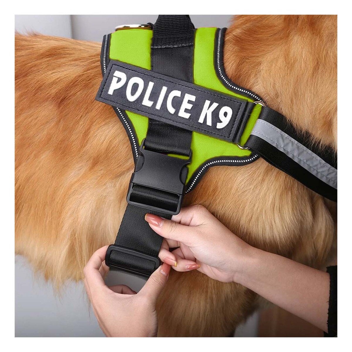 PACK2 ARNES REFORZADO SERVICE DOG TALLA XXL VERDE USO CONSTANTE - 3