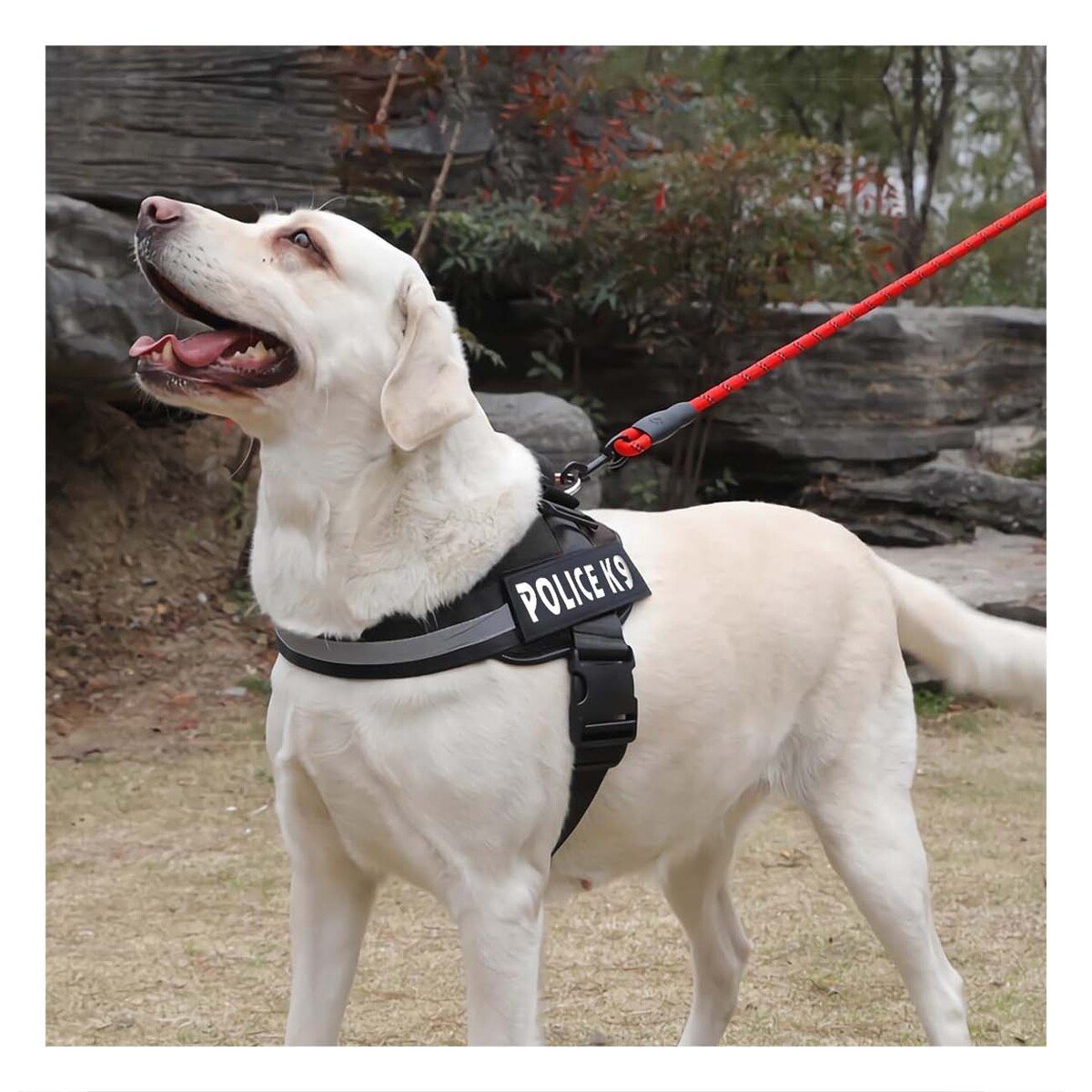 PACK2 CHALECO CANINO SERVICE DOG TALLA XXL NEGRO PARA APOYO Y+PAPEL REGALO - 5