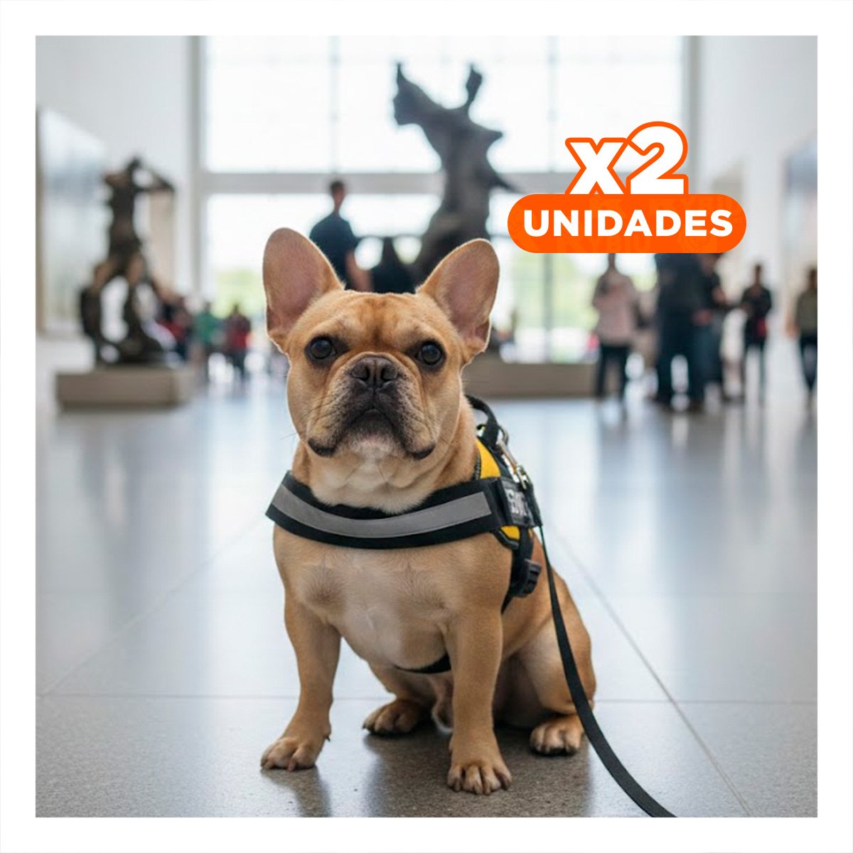 PACK2 ARNES PECHERA SERVICE DOG TALLA S AMARILLO DURABLE Y+REGALO STICKER - 1