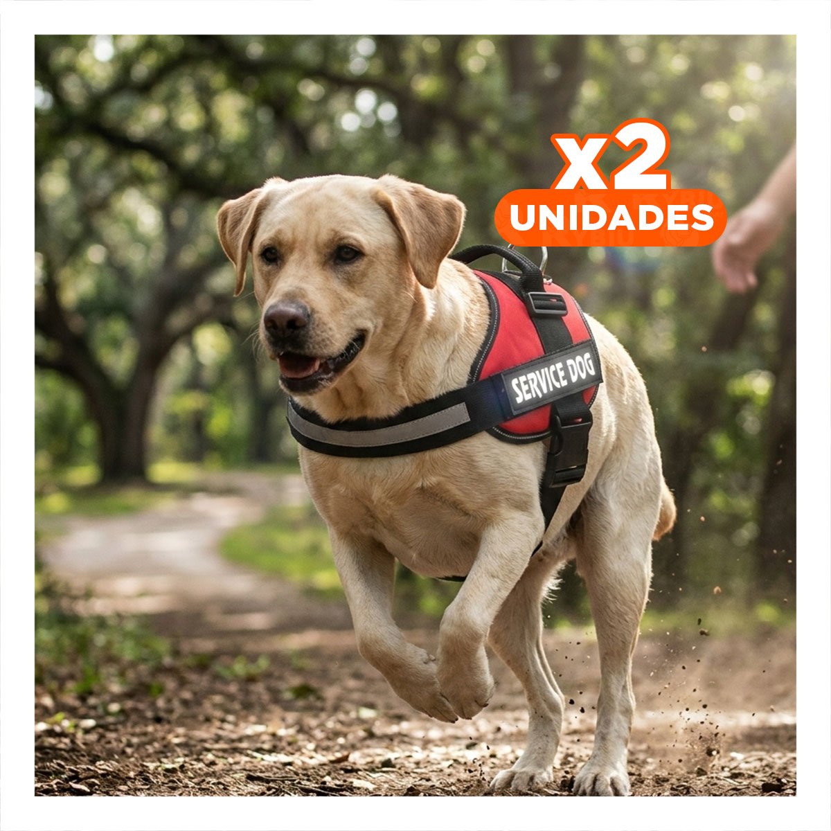 PACK2 CORREA AJUSTABLE SERVICE DOG TALLA XL ROJO PASEO DIARIO Y+REGALO STICKER - 1