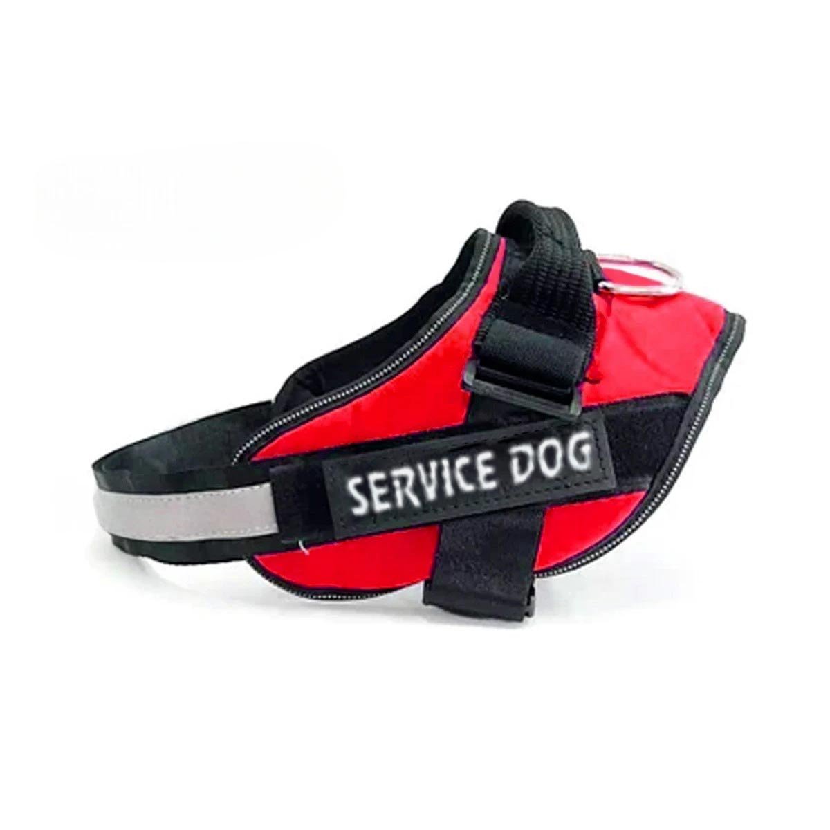 PACK2 CORREA AJUSTABLE SERVICE DOG TALLA XL ROJO PASEO DIARIO Y+REGALO STICKER - 2