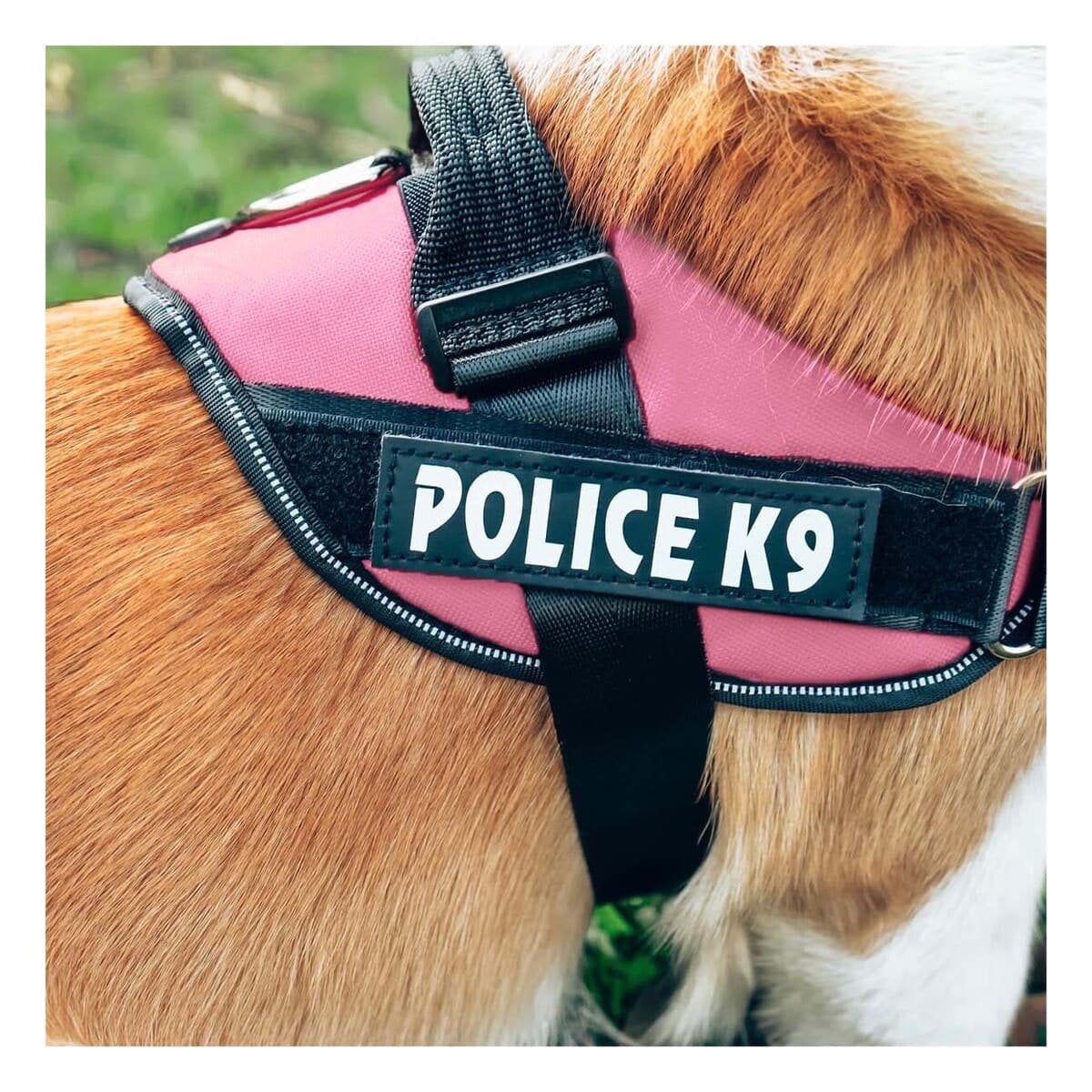 PACK6 PECHERA RESISTENTE SERVICE DOG TALLA XXL ROSADO ENTRENAMIENTO Y+PAPEL REGALO - 2