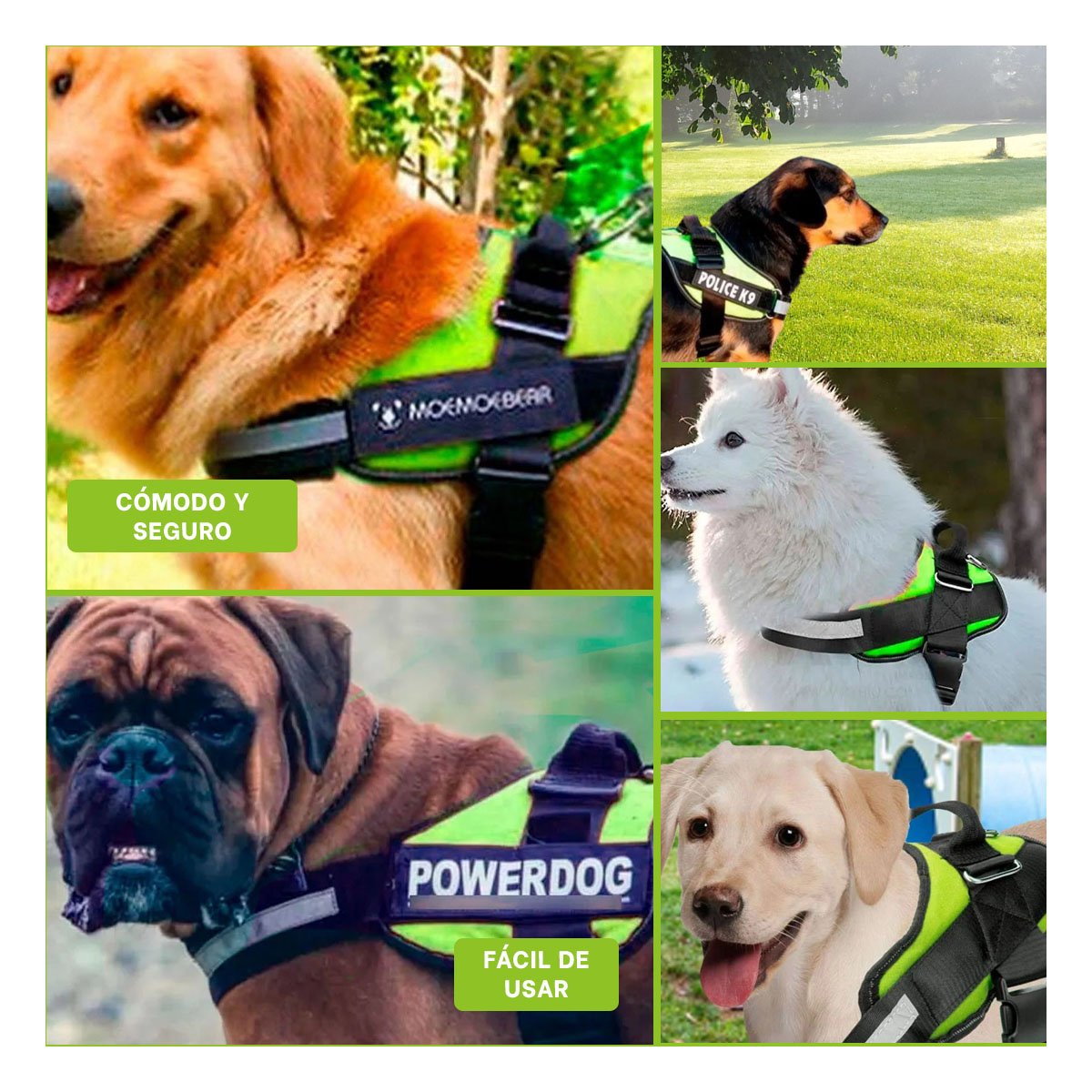 PACK4 CINTURON CANINO SERVICE DOG TALLA S VERDE SOPORTE SEGURO Y+REGALO STICKER - 2