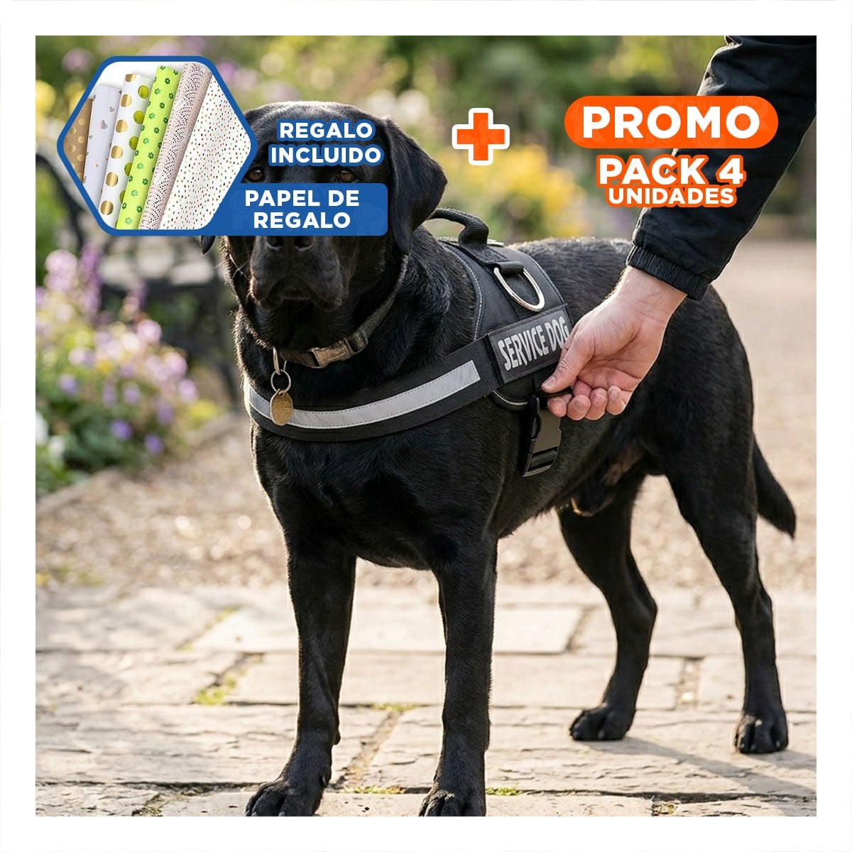 PACK4 EQUIPO AJUSTABLE SERVICE DOG TALLA XL NEGRO MASCOTA ACTIVA Y+PAPEL REGALO - 1