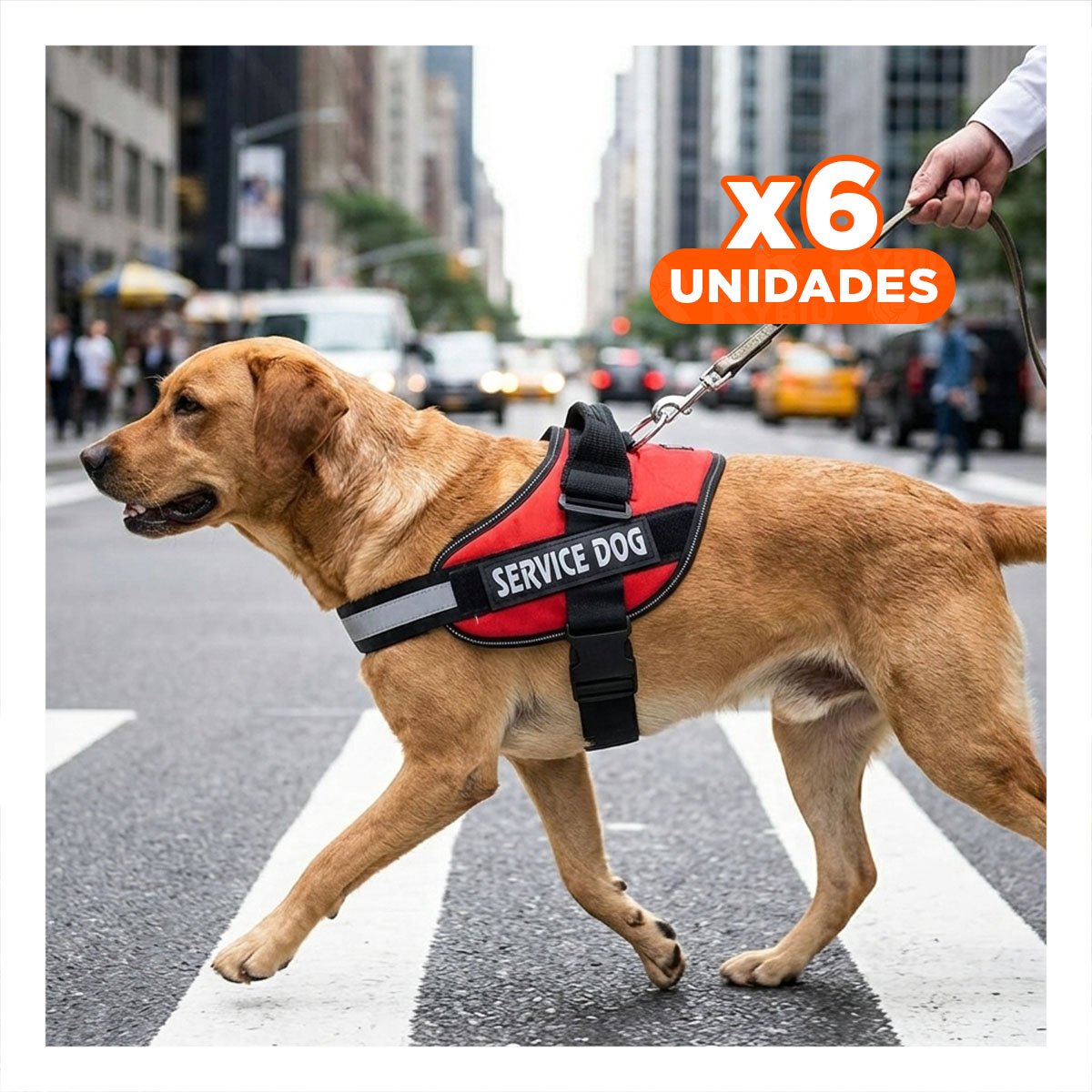 PACK6 CINTURON DE PASEO SERVICE DOG TALLA XL ROJO AJUSTE FIRME Y+REGALO STICKER - 1